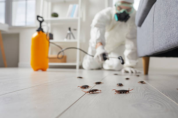Trusted Rodent Control service in Twin Grove, IL - Nex Pest Control