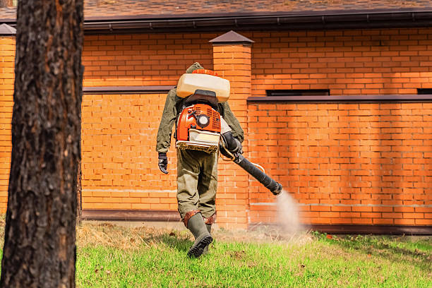Trusted Mosquito Control service in Twin Grove, IL - Nex Pest Control